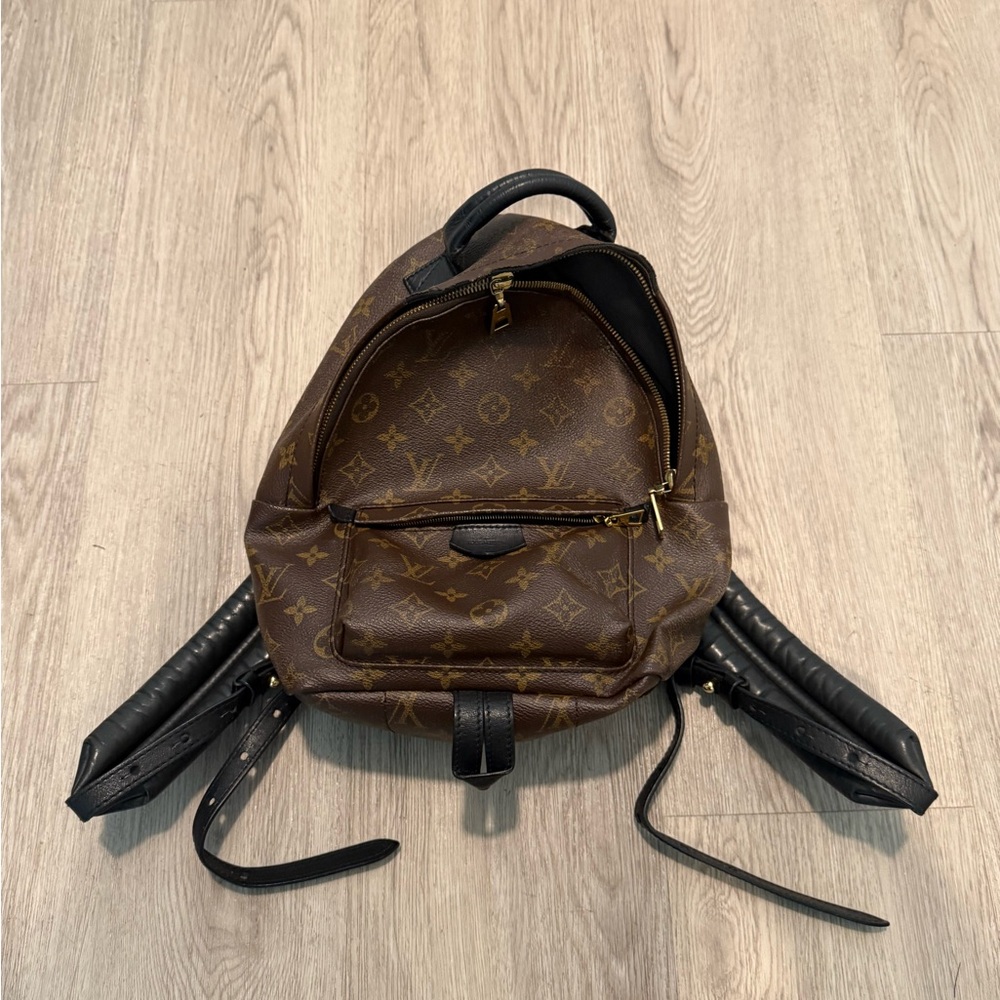 Louis Vuitton Brown and Black Backpack